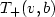 $T_+(v,b)$