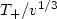 $T_+/v^{1/3}$