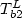 $T_{b2}^{L} $