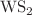 $$\hbox {WS}_{{2}}$$