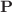 $$\mathbf{P}$$