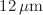 $$12\, \mu \hbox {m}$$