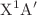 $$\hbox {X}^1\hbox {A}'$$