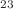 $$^{23}$$