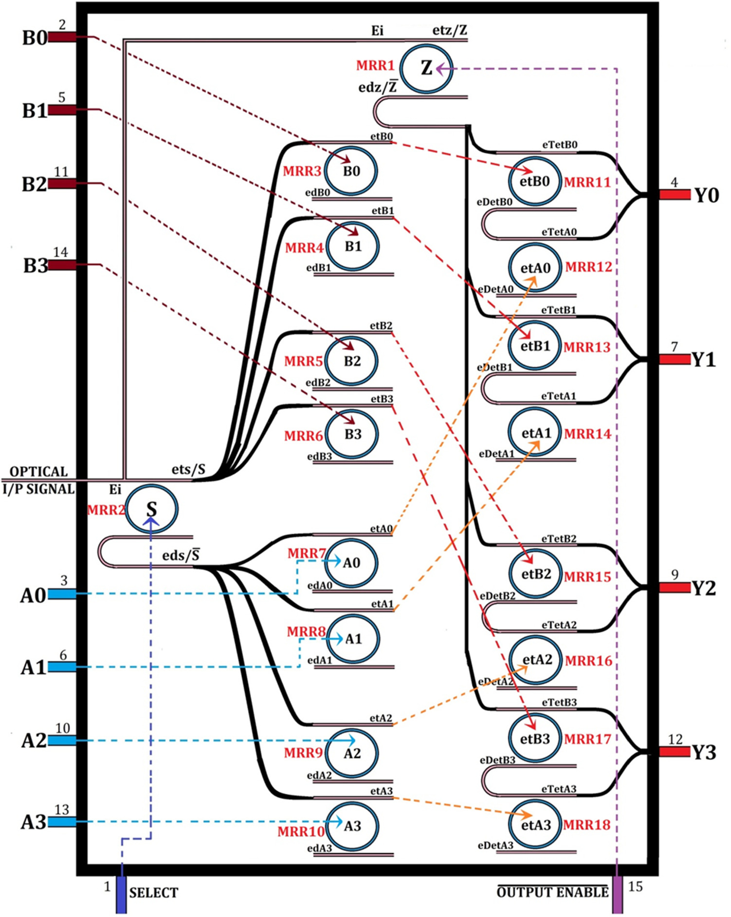Graphical abstract