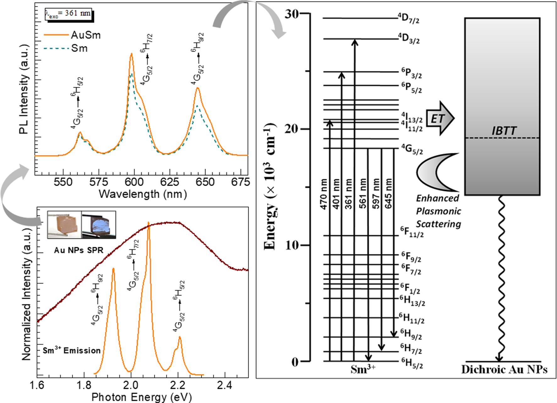 Graphical abstract