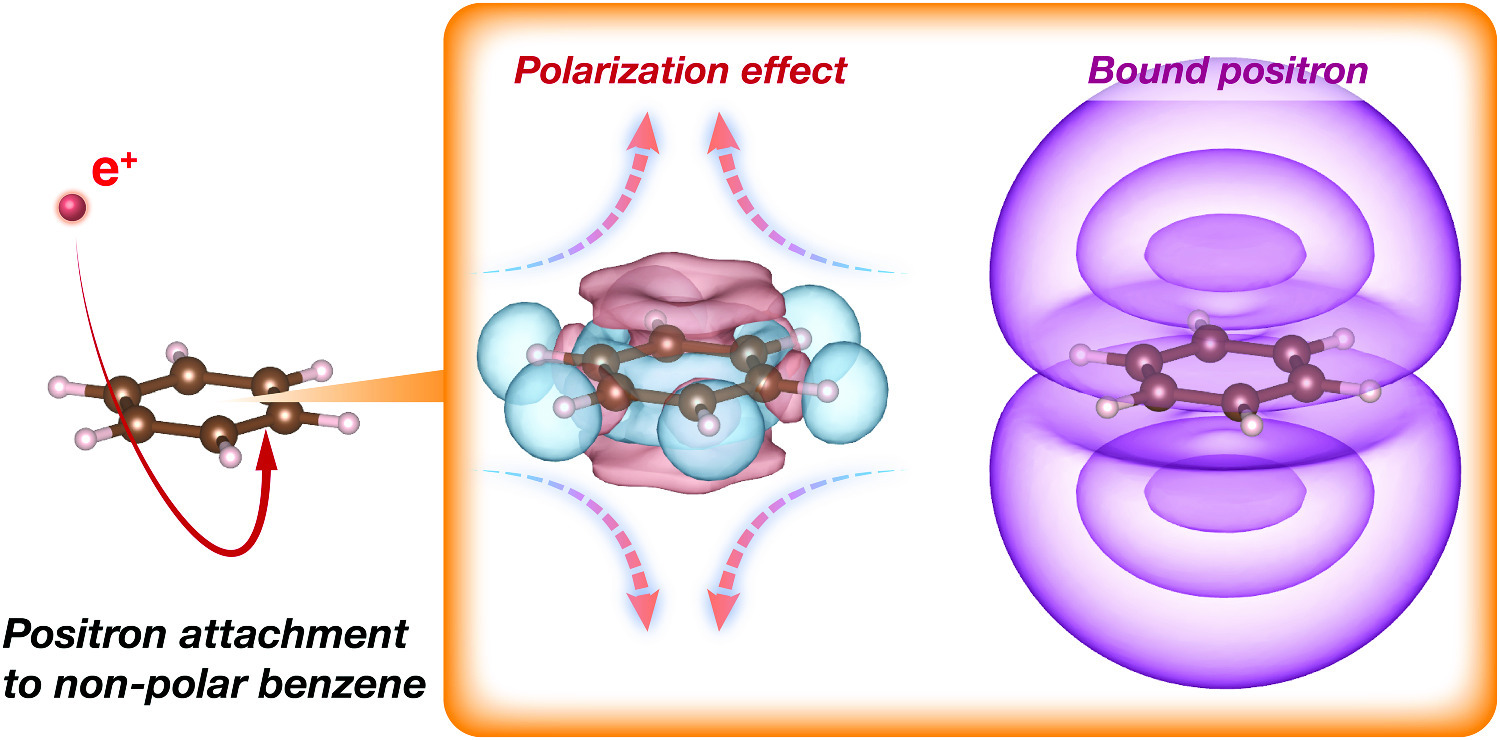 Graphical abstract