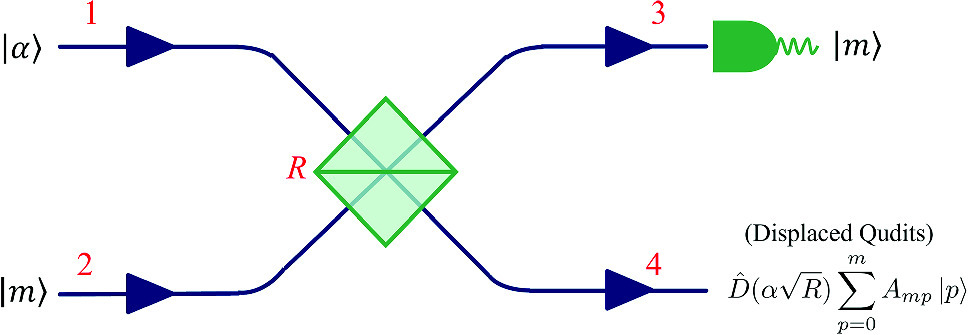 Graphical abstract