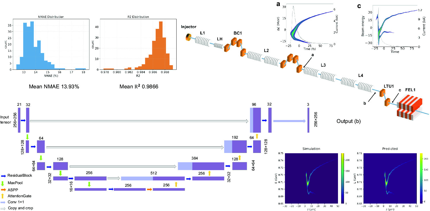 Graphical abstract